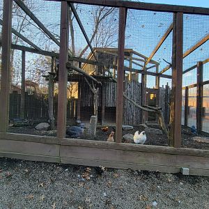 Living Treasures Moraine - Mixed aviary