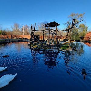 Living Treasures Moraine - Red ruffed lemur island