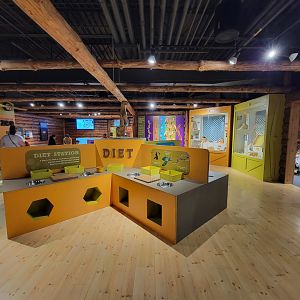 Boonshoft - Vet Hospital area