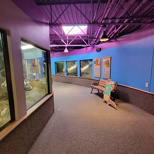 Boonshoft - Agouti and sloth up ahead on right, otters on left