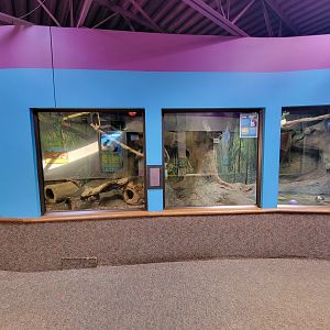 Boonshoft - Red-rumped agouti and Linnaeus's sloth