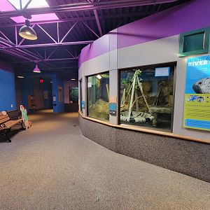 Boonshoft - Otters on right, lorikeets and water monitor ahead