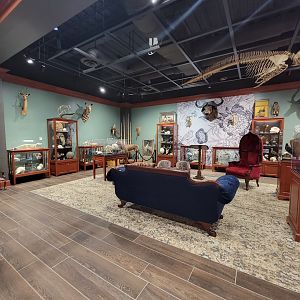 Boonshoft - Animal section of curiosity room