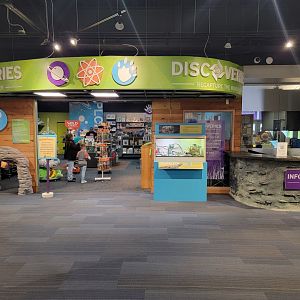 Boonshoft - Gift shop with Uromastyx in front