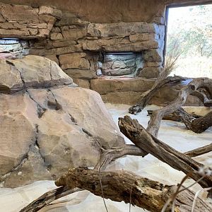 Former Savannah monitor enclosure, now refurbished.