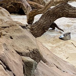 New arrival @ Paulton's 2023