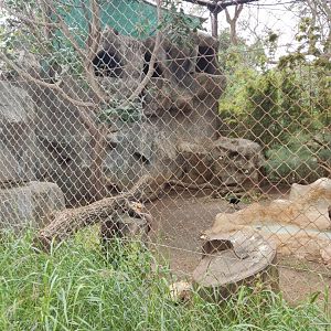 Birds of Prey aviary