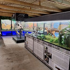 Museum - General View