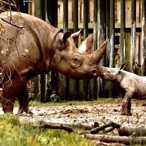 A moment I was happy to photo