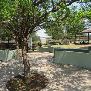 General Zoo Pathway near Entrance