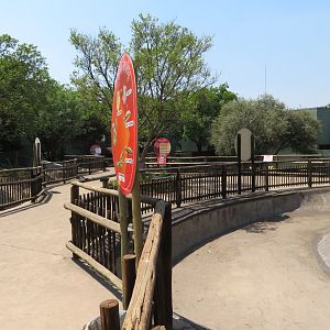 Lemur Island Being worked on