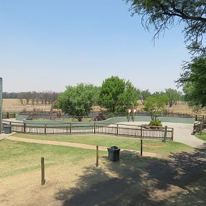 View of the very large Cape Porcupine and Yellow Mongoose Enclosure