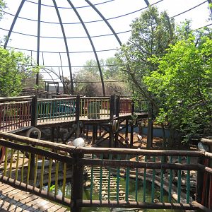 Large Aviary View