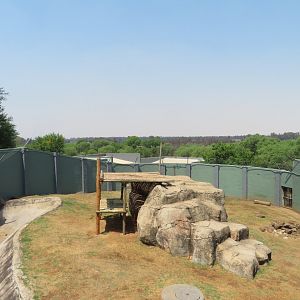 Lion Enclosure