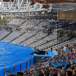 Orca - stadium under construction