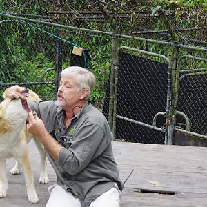 ARP 2014 - Alpine Dingo with keeper