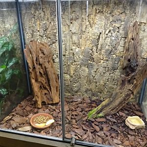 Skansen-Akvariet - Cockroach exhibit