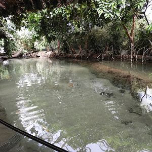 [2017] Enclosure in Oceanium