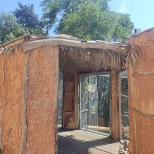 Persian Leopard pt2 Hut