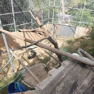 Persian Leopard pt3 (inside the hut)