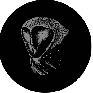 Possible Twilight Realms Logo -> ZooSC at Myrtle Beach