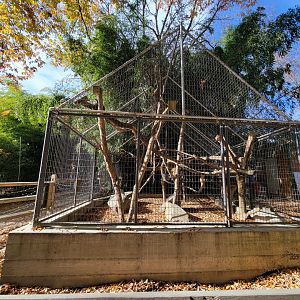 Plumpton Park - Linnaeus's sloth and red-footed tortoise (formerly "empty exhibit at entrance")