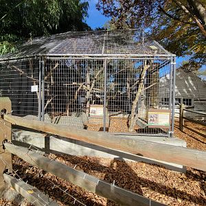 Plumpton Park - Linnaeus's sloth and red-footed tortoise (formerly "empty exhibit at entrance")