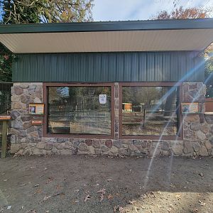 Plumpton Park - Prairie dogs on left, African crested porcupine on right