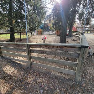 Plumpton Park - One of several donkey yards
