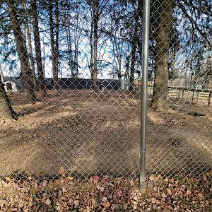 Plumpton Park - Great Pyrenees dog and 3-legged "Arctic" wolf