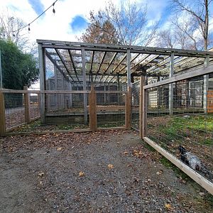 Plumpton Park - Bears