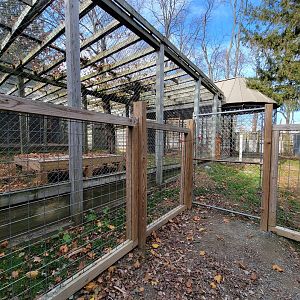 Plumpton Park - Bears