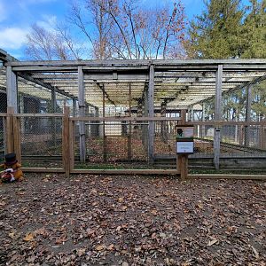 Plumpton Park - Bears