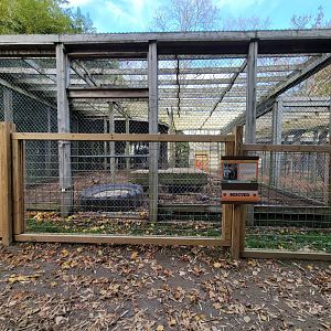 Plumpton Park - Bears