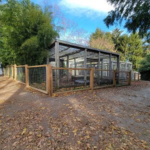 Plumpton Park - Bears