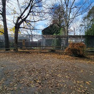 Plumpton Park - Cougars