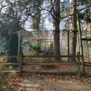 Plumpton Park - Cougars