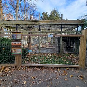 Plumpton Park - Tigers