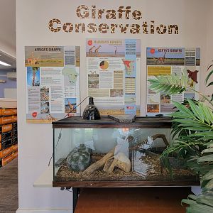 Plumpton Park - Inside of Giraffe "Conservation" building (where the bathrooms are)
