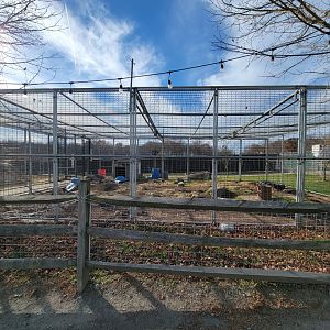Plumpton Park - Brown bears