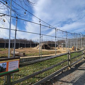 Plumpton Park - Brown bears