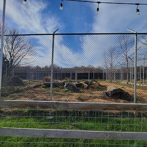 Plumpton Park - Wolves