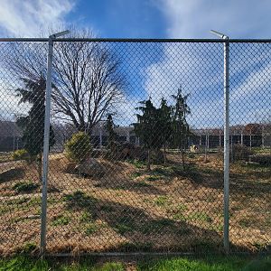 Plumpton Park - Wolves