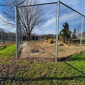 Plumpton Park - Wolves