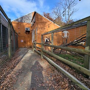 Plumpton Park - Side of building