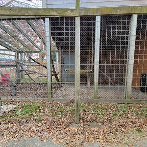 Plumpton Park - Unknown