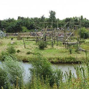 [2017] Chimpanzee enclosure