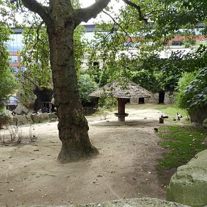 [2017] Kangaroo enclosure