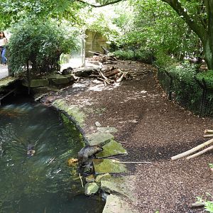 [2017] Coypu enclosure