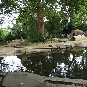 [2017] Asian elephant enclosure